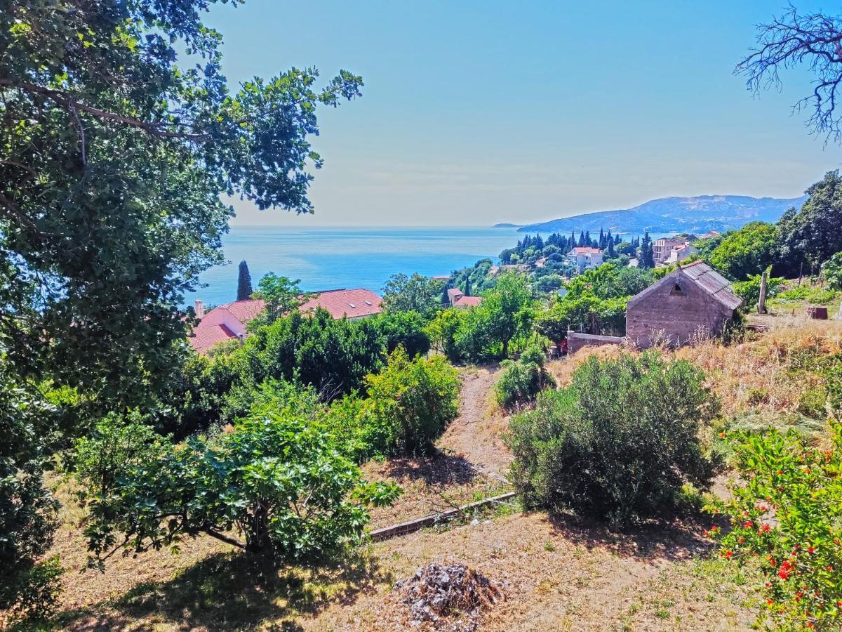 Dubrovnik Moonshine Apartment Млини Экстерьер фото