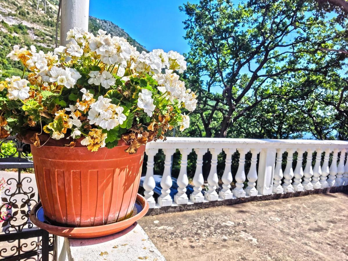 Dubrovnik Moonshine Apartment Млини Экстерьер фото