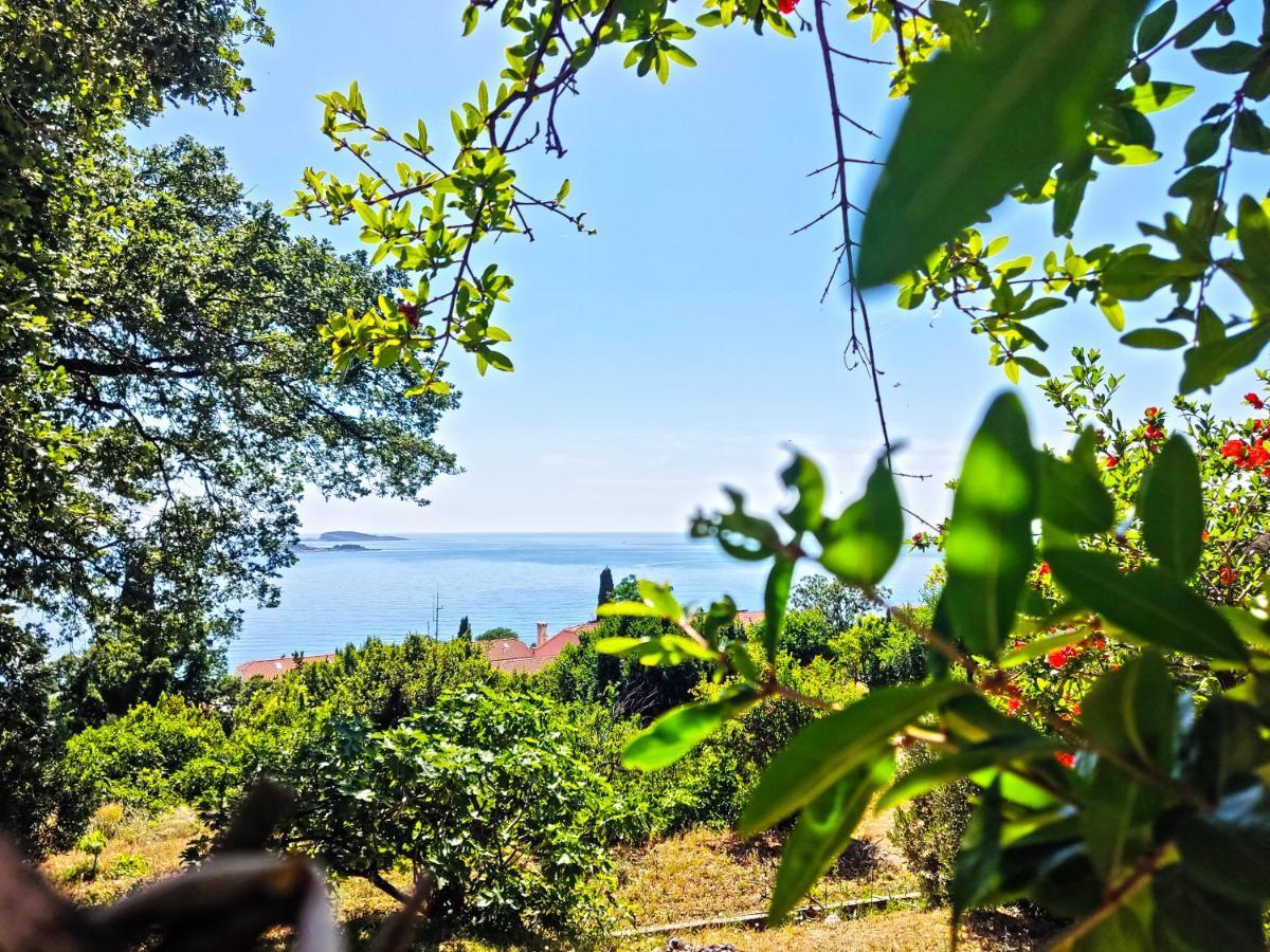 Dubrovnik Moonshine Apartment Млини Экстерьер фото